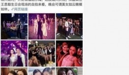 哔哩哔哩 明星黑料在哪找,明星黑料搜集全攻略